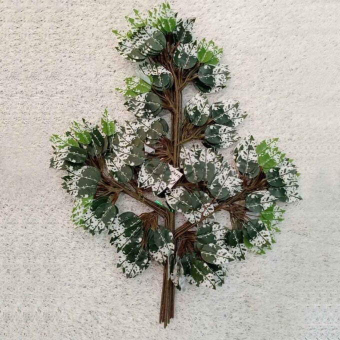 lichu-leaf-multicolor-variation-no-23