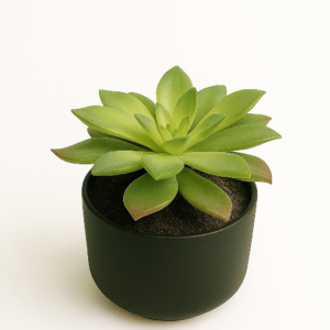 Artificial Succulent Plant in Black Ceramic Pot, 12 cm Indoor Decorative Faux Greenery